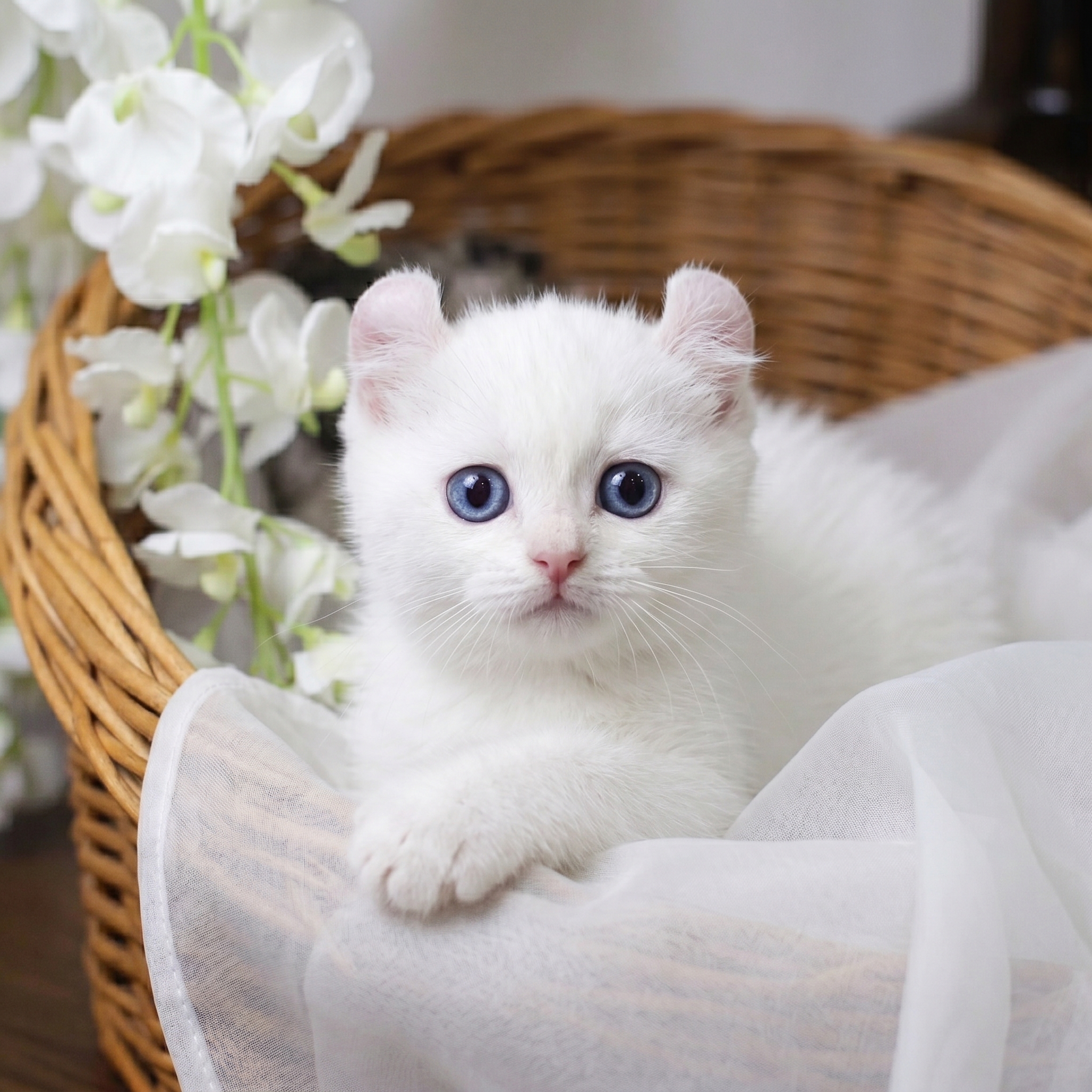 �����̾��о�_120260609131329.jpeg