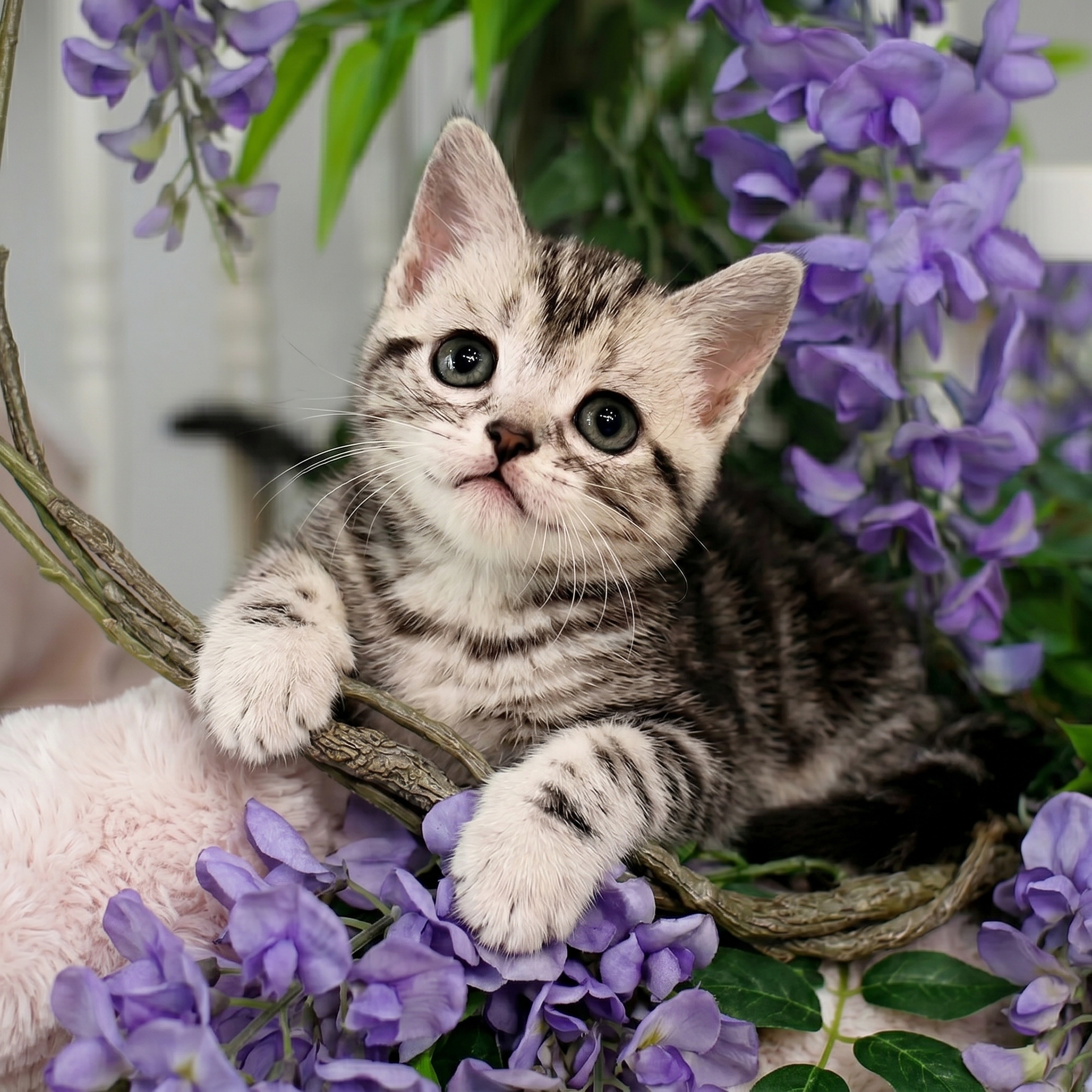 �����̾��о�_120260612135058.jpeg