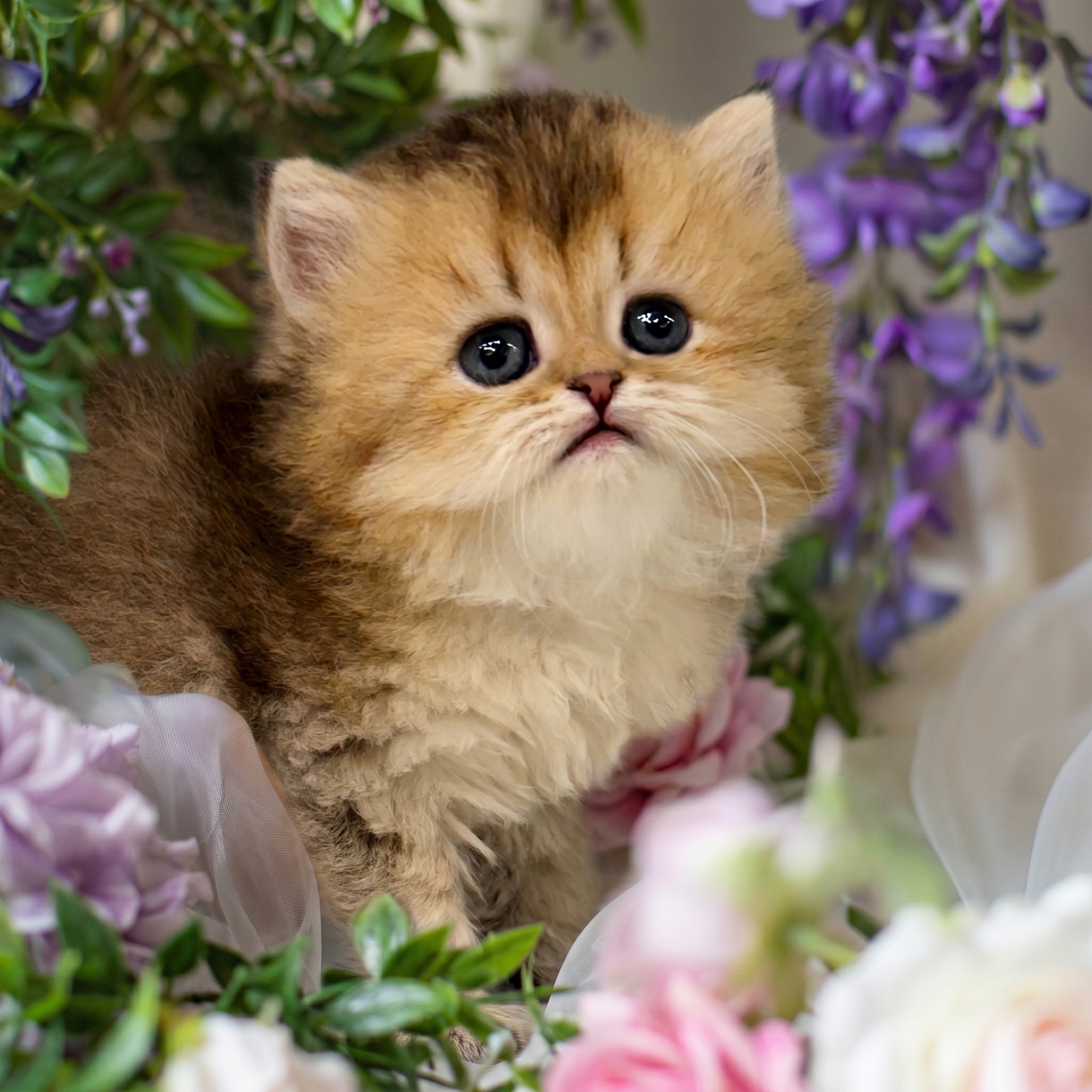 �����̾��о�_120260612153631.jpeg