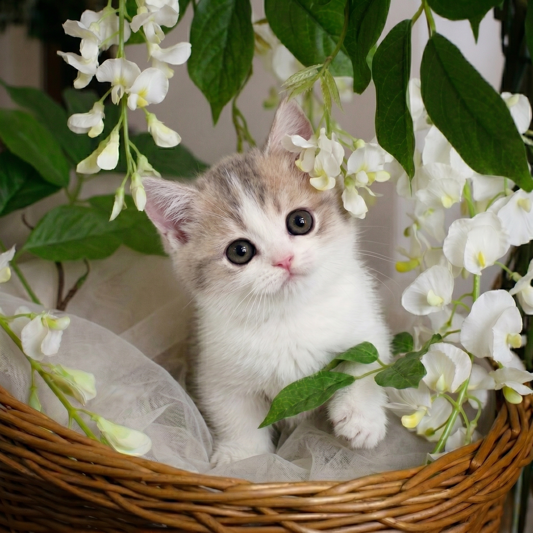 �����̾��о�_120260612155916.jpeg