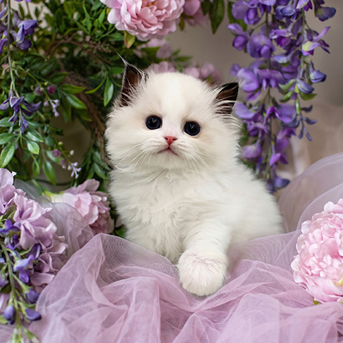 �����̾��о�_120260619125310.jpeg