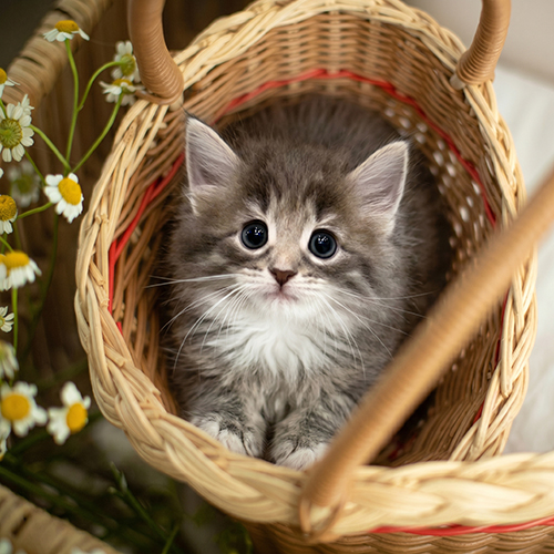 �����̾��о�_120260619125718.jpeg