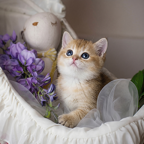 �����̾��о�_120260619130110.jpeg