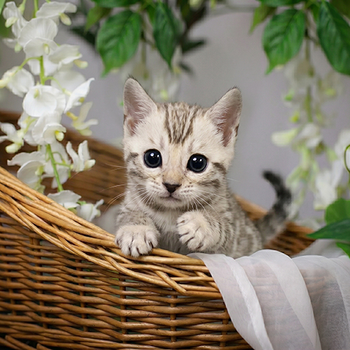 �����̾��о�_120260619132421.jpeg