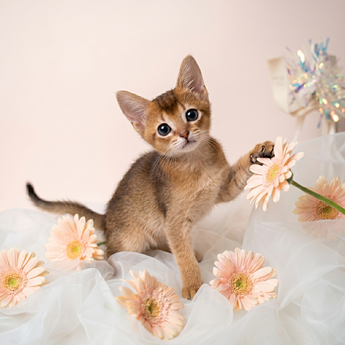 �����̾��о�_120260626160353.jpeg