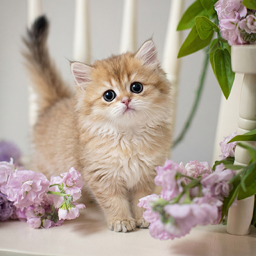�����̾��о�_120260626160913.jpeg