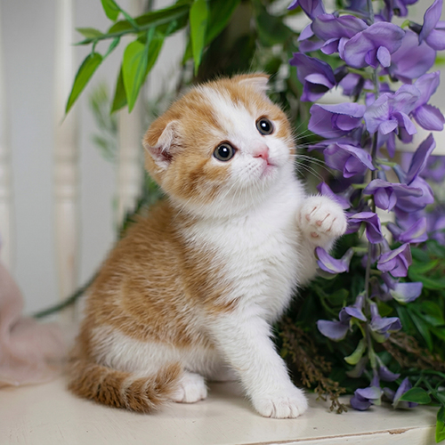 �����̾��о�_120260626163525.jpeg