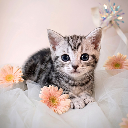 �����̾��о�_120260714141620.jpeg