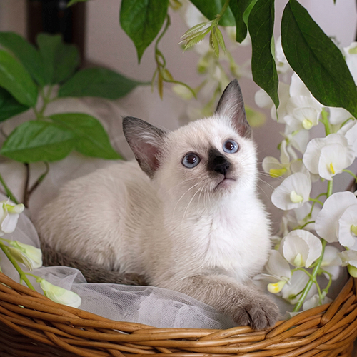�����̾��о�_120260720161132.jpeg