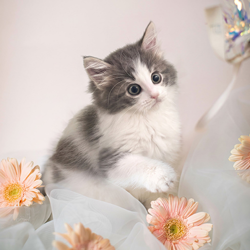 �����̾��о�_120260806143615.jpeg