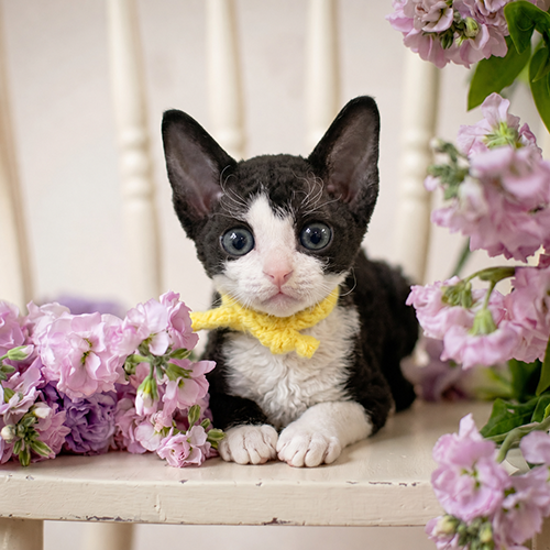 �����̾��о�_120260819171234.png