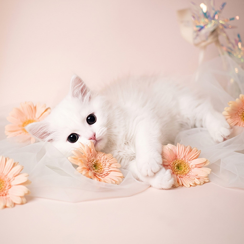 �����̾��о�_120260921162631.jpeg