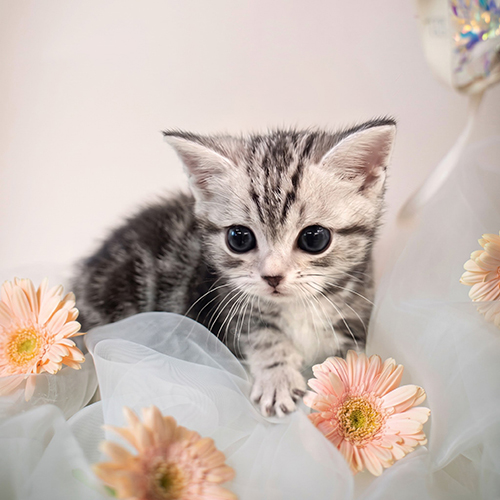 �����̾��о�_120261015160907.jpg